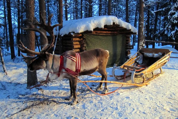 Spend Christmas in a Sami tent in the snow with a reindeer sleigh-ride