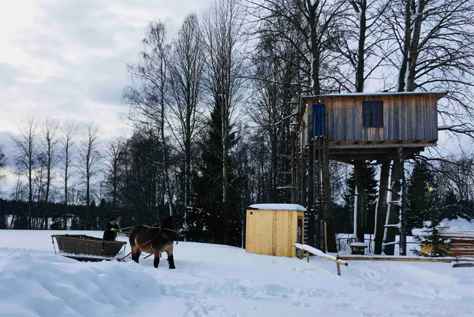 This rustic treehouse is one of the more unusual Airbnbs in Scandinavia