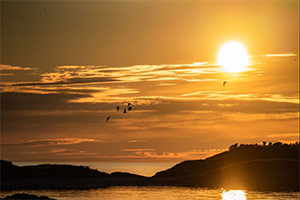 6-Hour Midnight Sun Fjord Photo Tour with Grilling in Tromsø