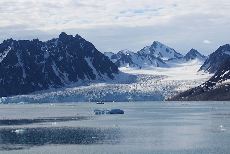 Svalbard is one of the best places in Norway for seeing wildlife