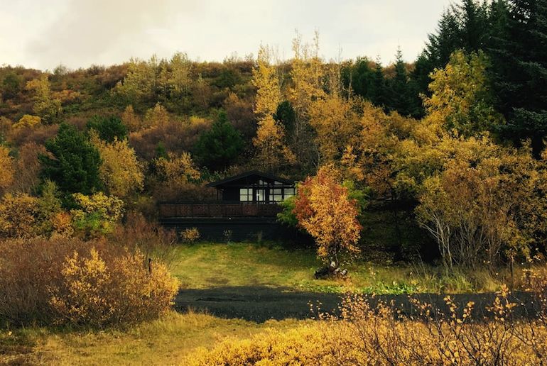 Cosy cabin in the woods, one of Iceland's top ten Airb&bs
