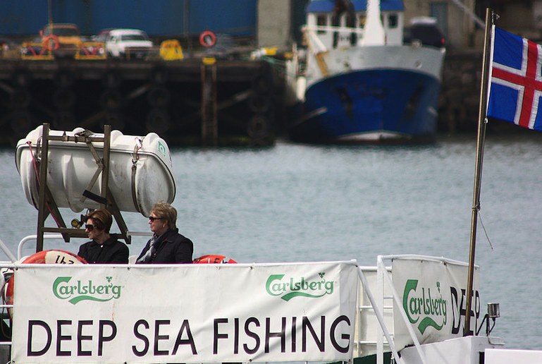 Go fishing with the experts from Reykjavík