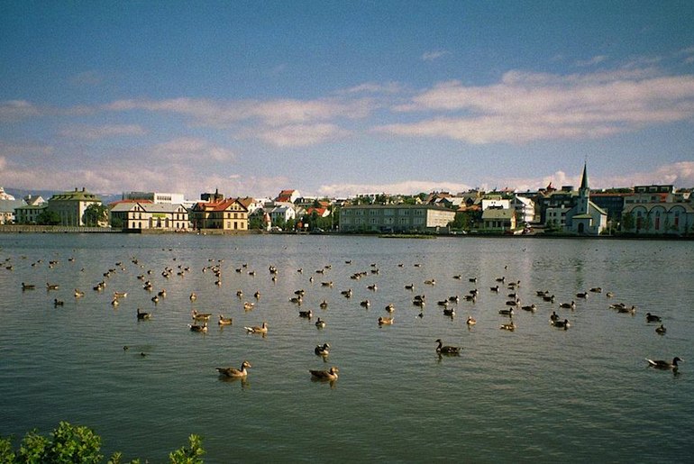 Go bird-watching at Reykjavík's Tjornin lake – it's one of the 40 best free and cheap things to do in the city.