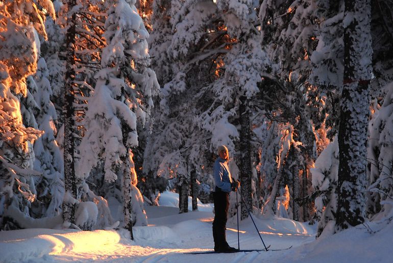 Go cross-country skiing in the Nordmarka Forest just outside Oslo in winter