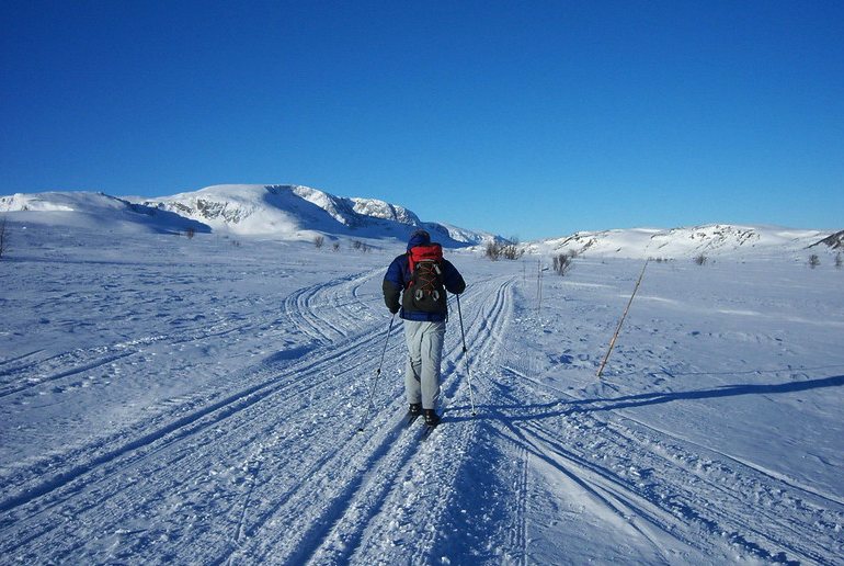 Floodlit trails offer opportunities for both day and nighttime skiing