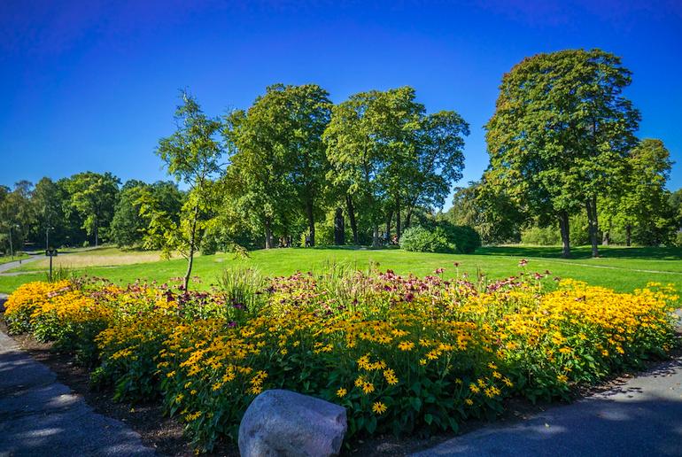 Stockholm's parks are a great way to get back to nature