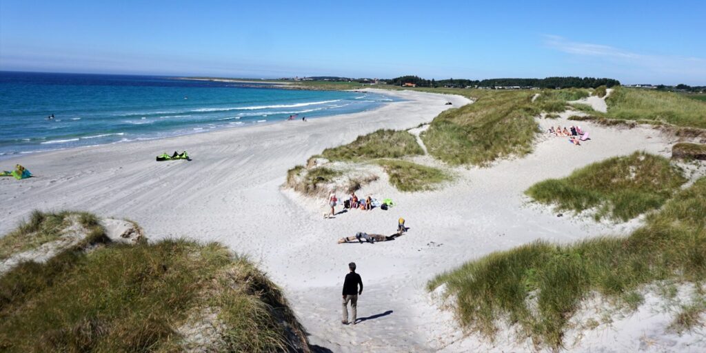 beach and dunes by the sea