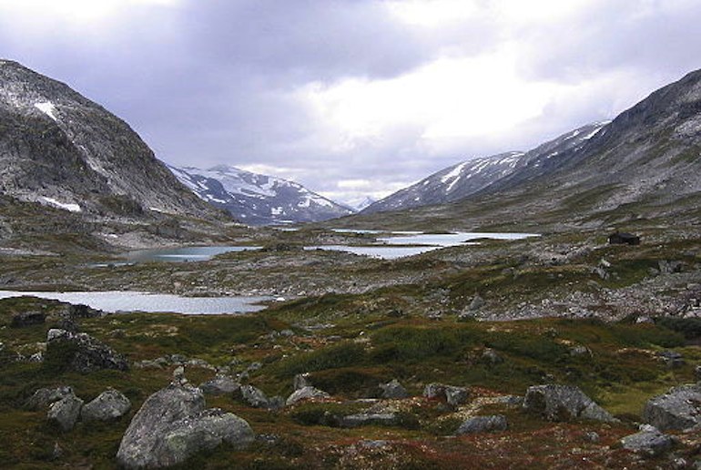 One of Norway's scenic drives, the Gamle Strynefjellsvegen passes two national parks