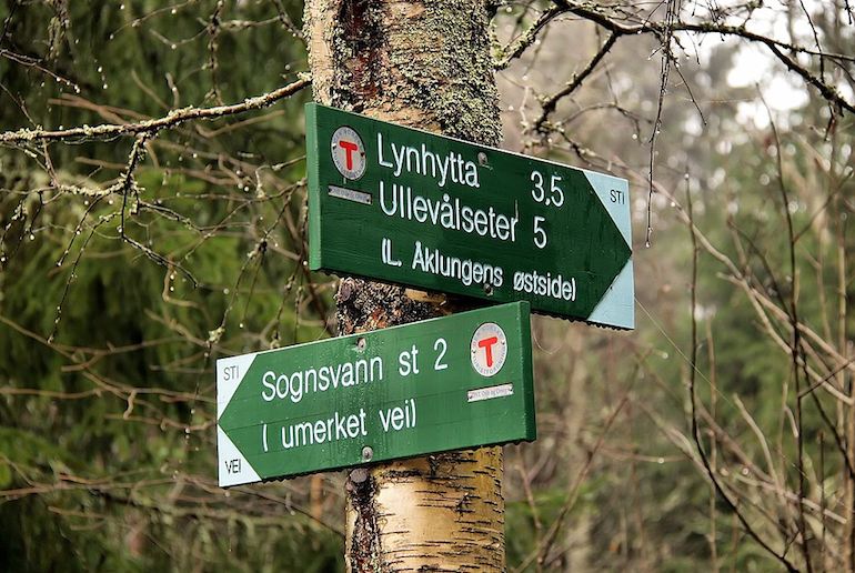 A popular hike from Oslo is around the lake at Songsvann