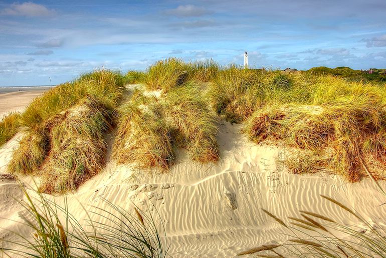 Surfing in Denmark in summer