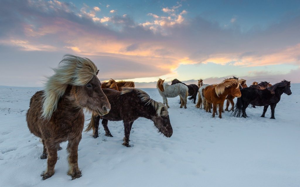 Visiting Iceland in winter is best for people who are into sports