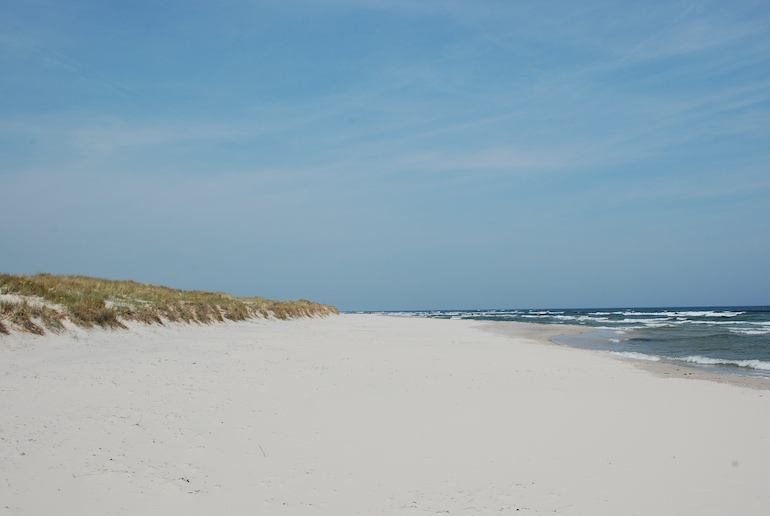 Sandhammaren is regularly voted Sweden’s best beach
