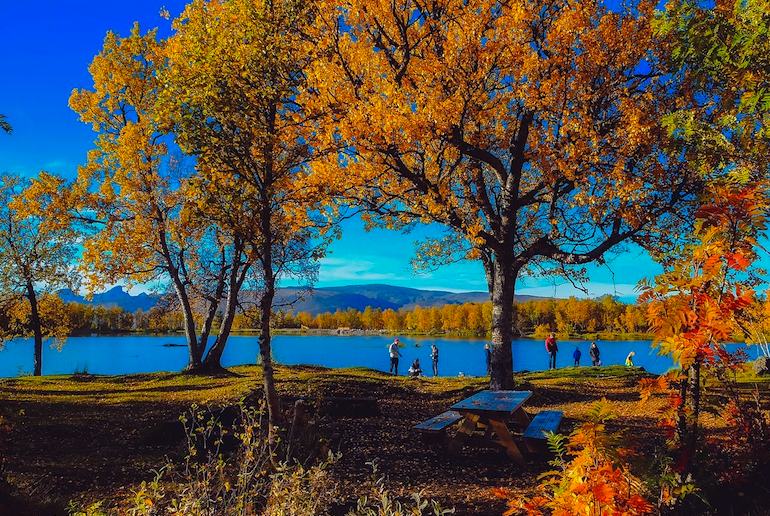 The autumn leaves are beautiful in Norway