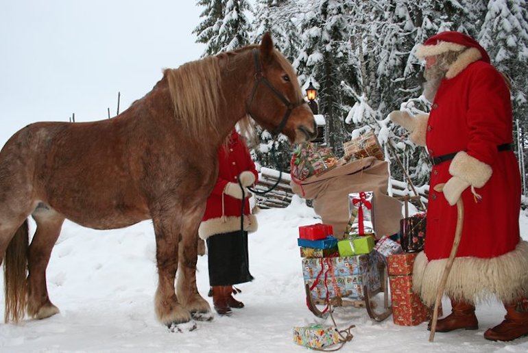 Meet Santa and his animals at Tomteland, Sweden at Christmas