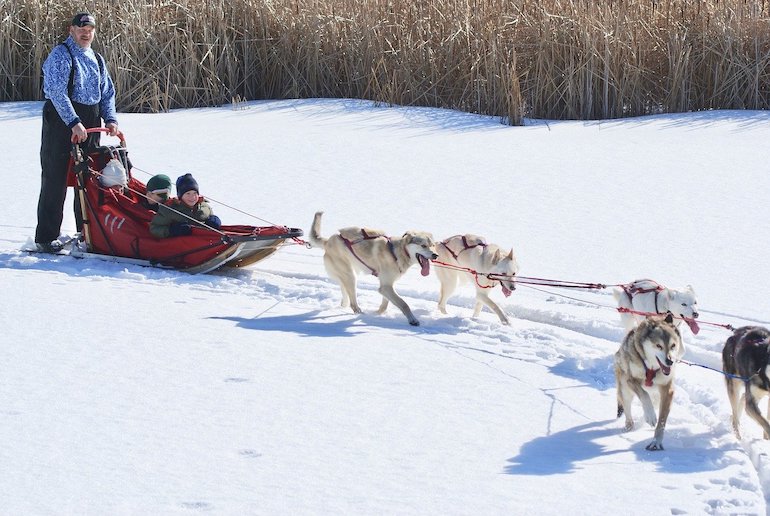 Go husky-sledging when visiting Santa at Christmas at the North Pole.