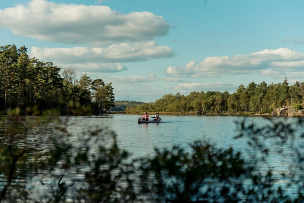 kayak in the lake surrounded by forest