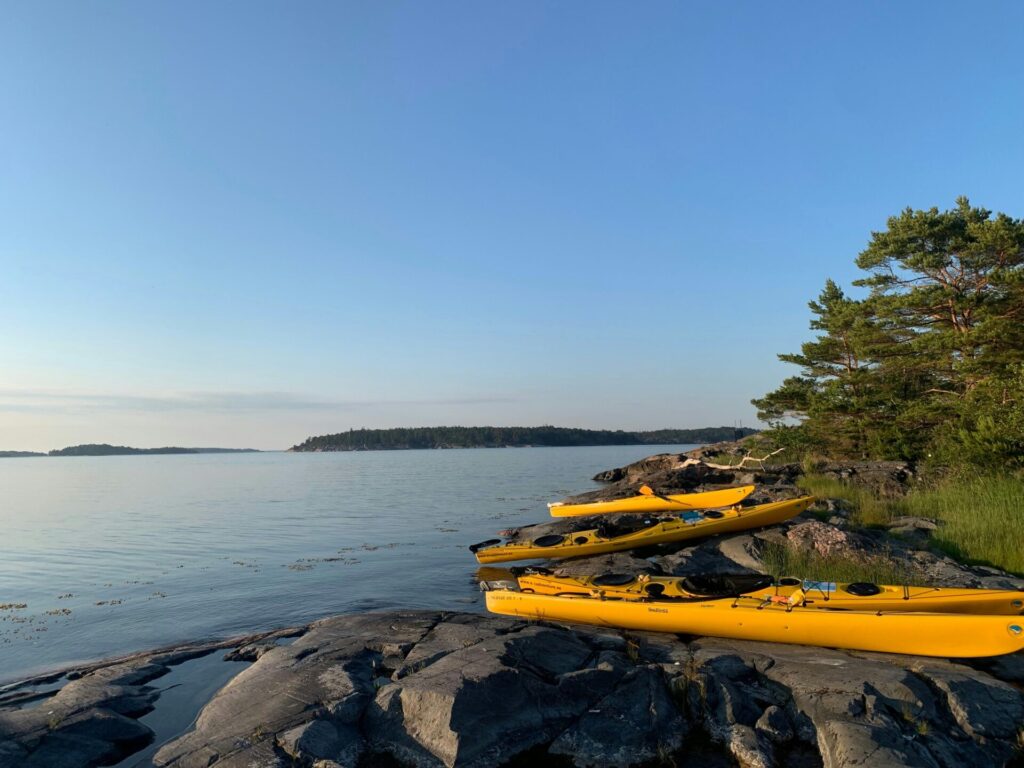 kayaks by the shore