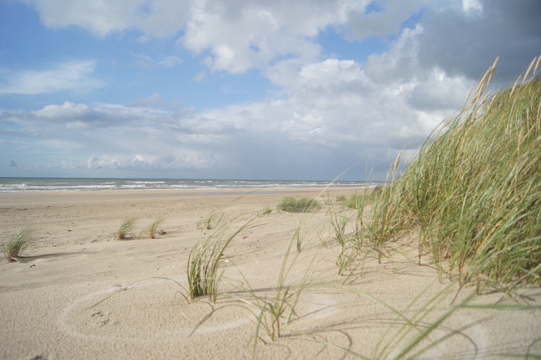 Blokhus beach in Denamrk is good for windsurfing and kitesurfing.