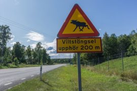 sweden viking tours