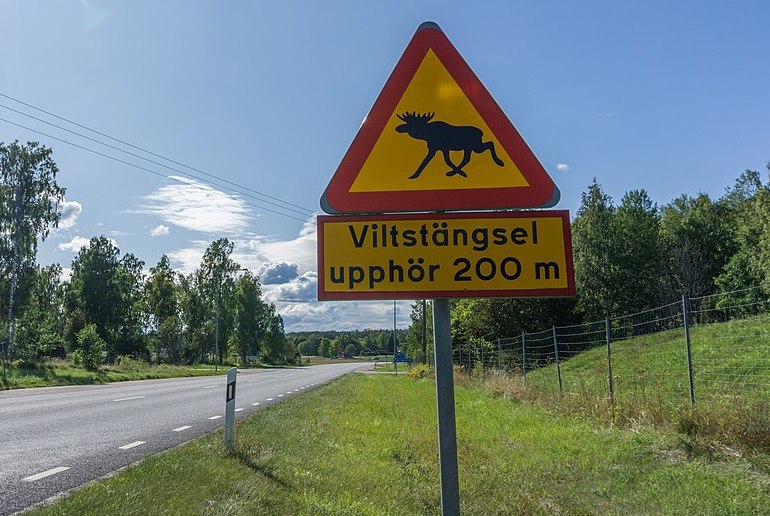 The Swedish alphabet has 29 letters.