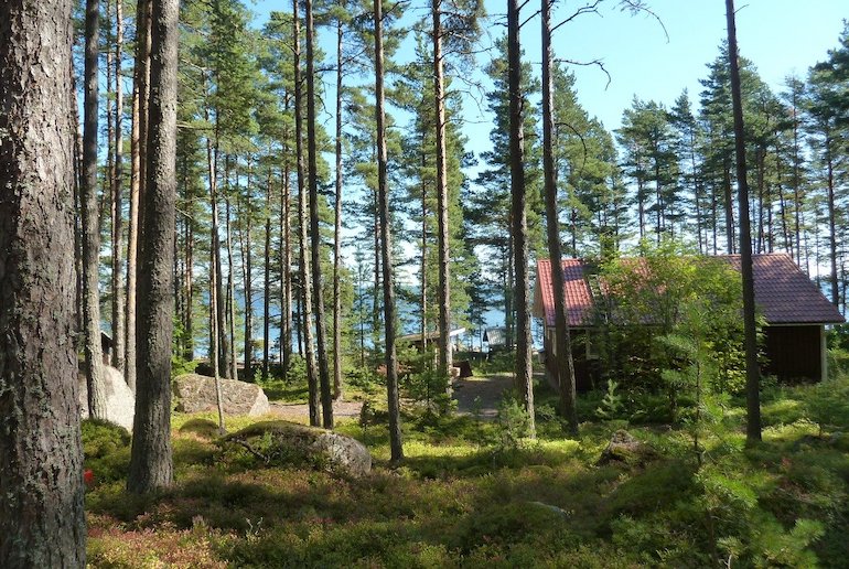 Finland is known for forests, lakes and saunas.