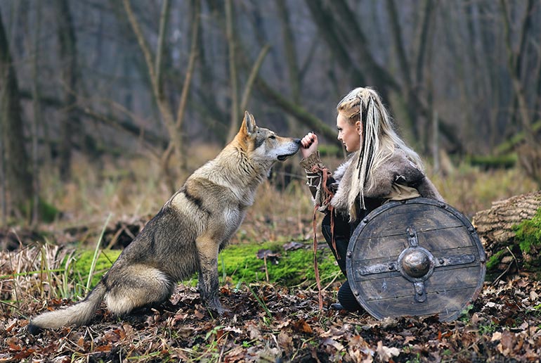 Viking braided hairstyles for women