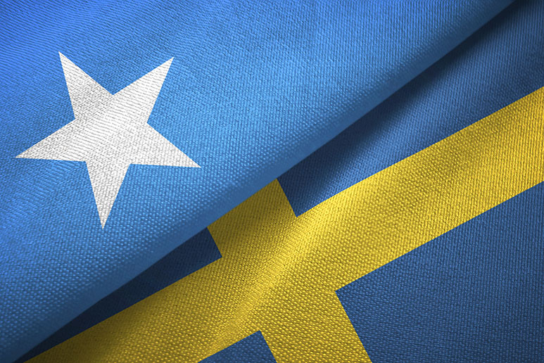 Many new Swedish speakers arrive from countries like Somalia