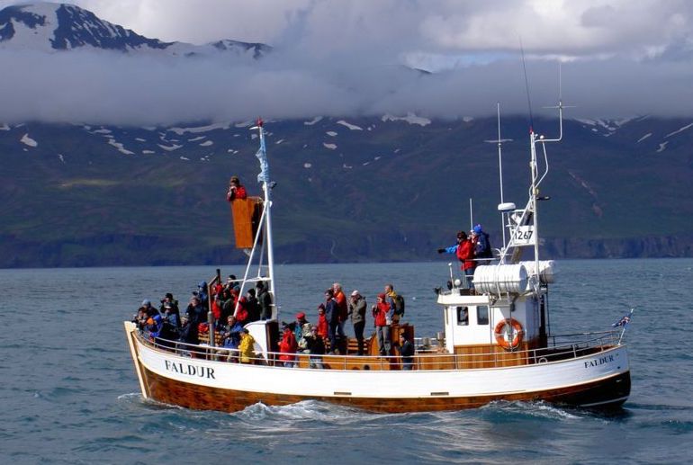 Husavik is known as the whale watching capital of Iceland