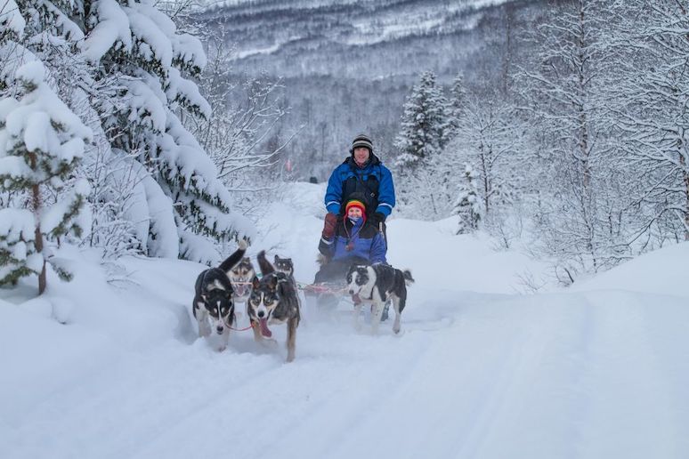 Camp Tomak near Tromsø is a great place to try dog sledding