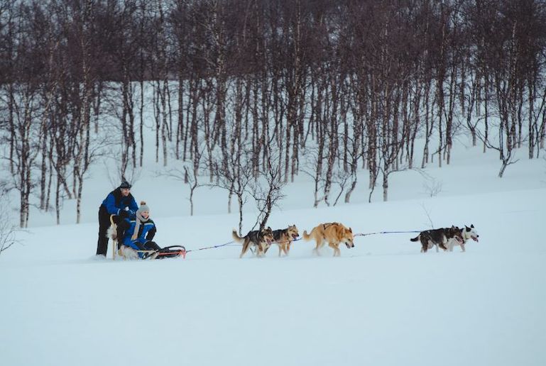 Combine a dog sled trip with seeing the ice dome near Tromsø, Norway.