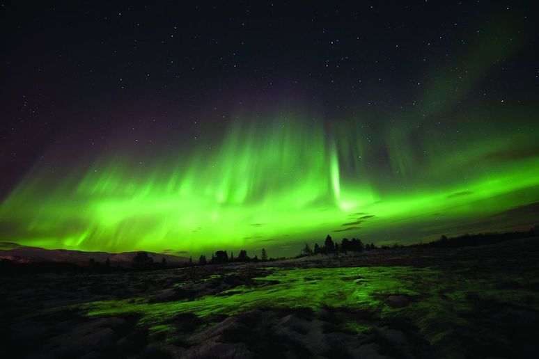Combine dog sledding with a northern lights tour near Tromsø in Norway