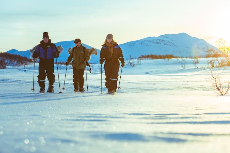 Go snowshoeing and meet some huskies Kvaløya island near Tromsø