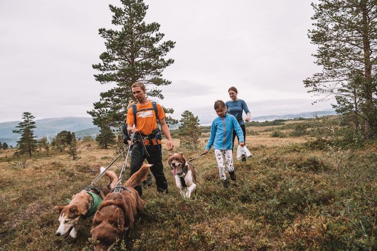 Go for a husky hike near Tromsø, Norway