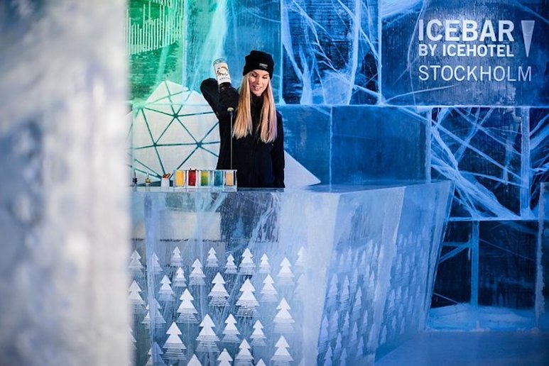 Have a drink in the original Icebar on this private tour of Stockholm.