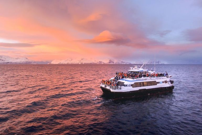 Take a catamaran from Tromsø in Norway to see the whales