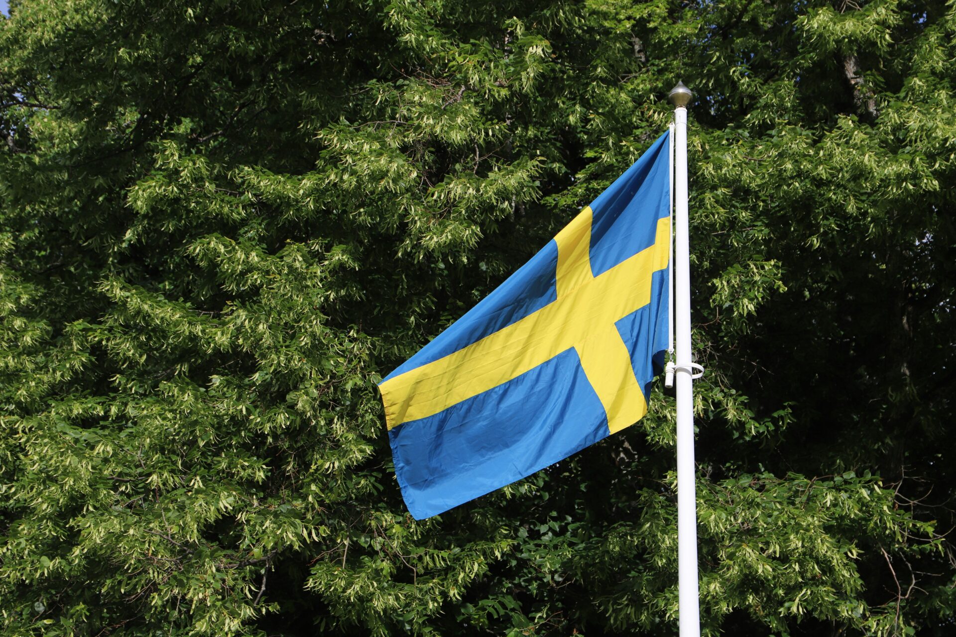 blue flag with yellow cross in front of trees