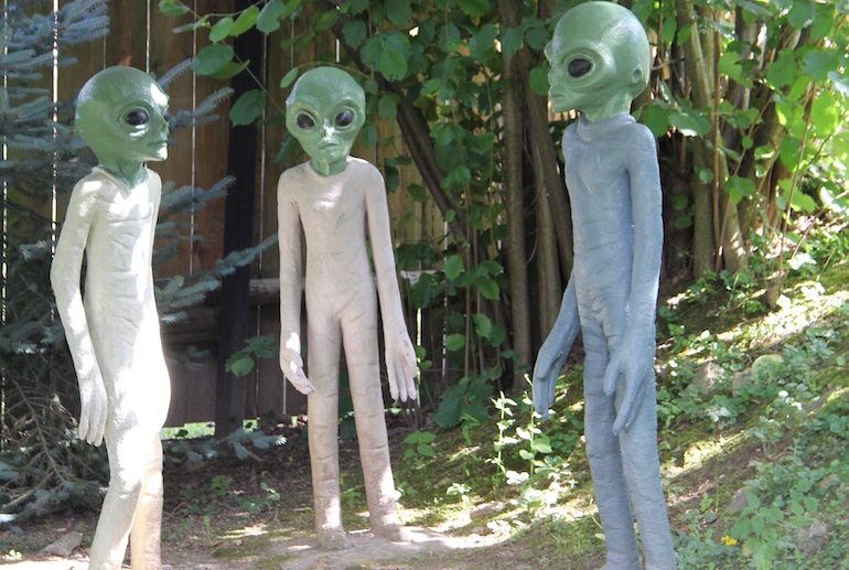 Nordic aliens are also known as Tall White Aliens, Space Brothers and Blonde Humanoids
