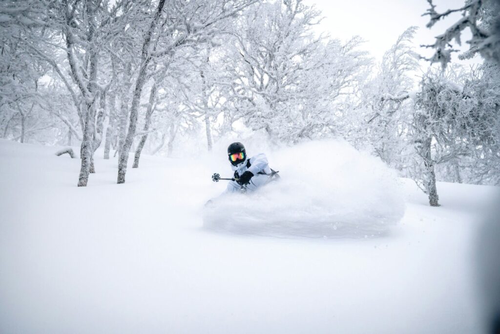 Skier in deep powder snow in between birch trees