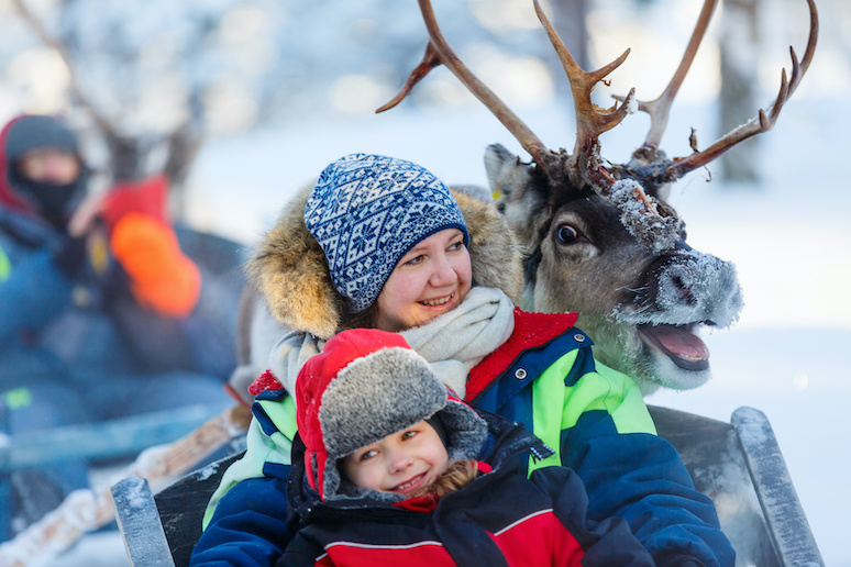 You can take a reindeer sleigh ride in Lapland