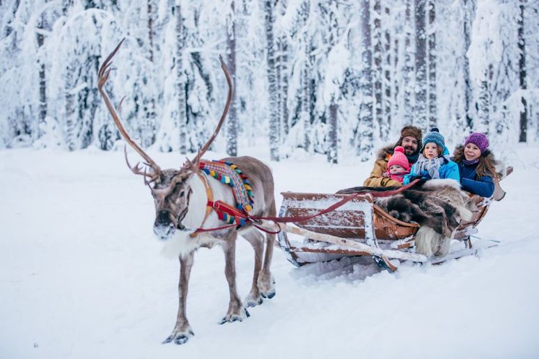 Meet a reindeer and ride a snowmobile in Rovaniemi, Finland