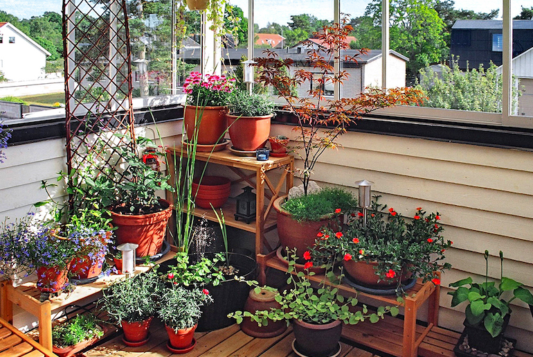 Plants are an integral part of a nature house in Sweden