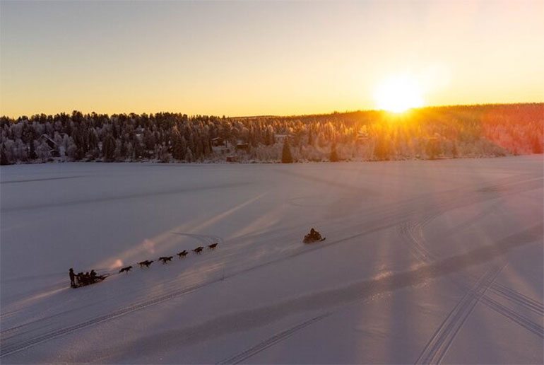 Kiruna dog sled tours