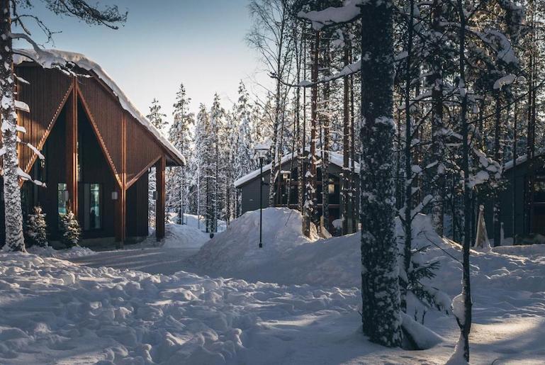 Stay in a cabin in the forest in Rovaniemi, Finland