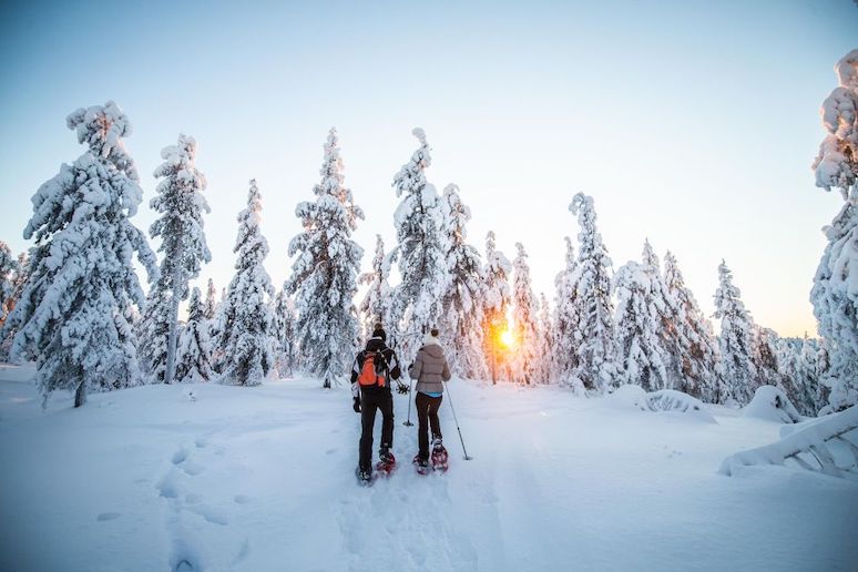 Take a photography snowshoe tour from Rovaniemi in Finland
