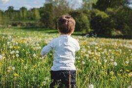 toddler boy walking in a field with flowers