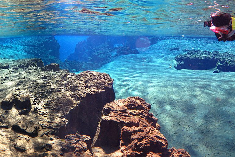Snorkeling between two tectonic plates is a unique experience