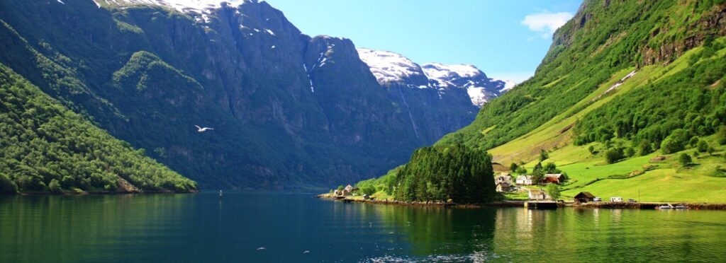 fjord with green hills and bird