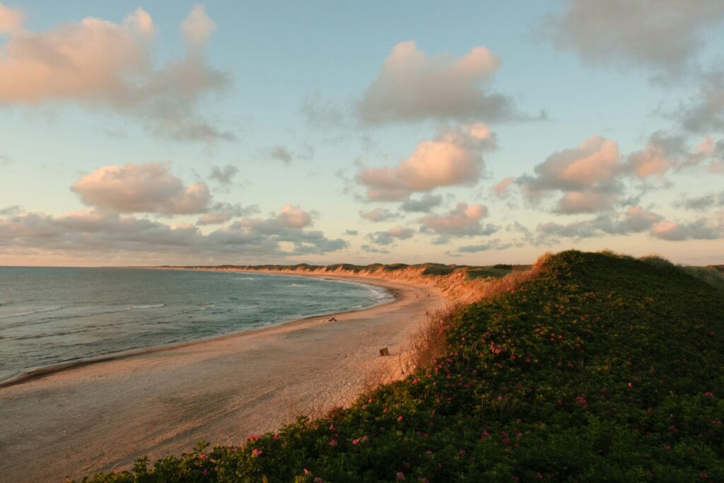 Camping in Denmark: all you need to know