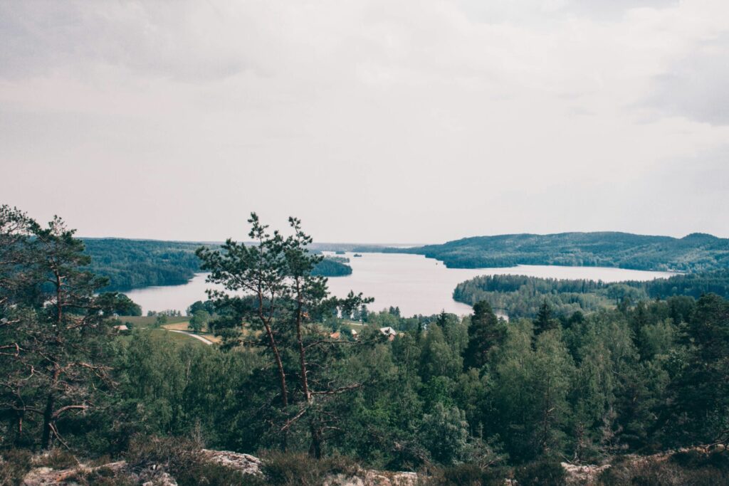 lake and forest