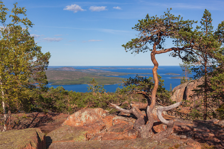The High Coast trail runs through Skuleskogen National Park in Sweden.